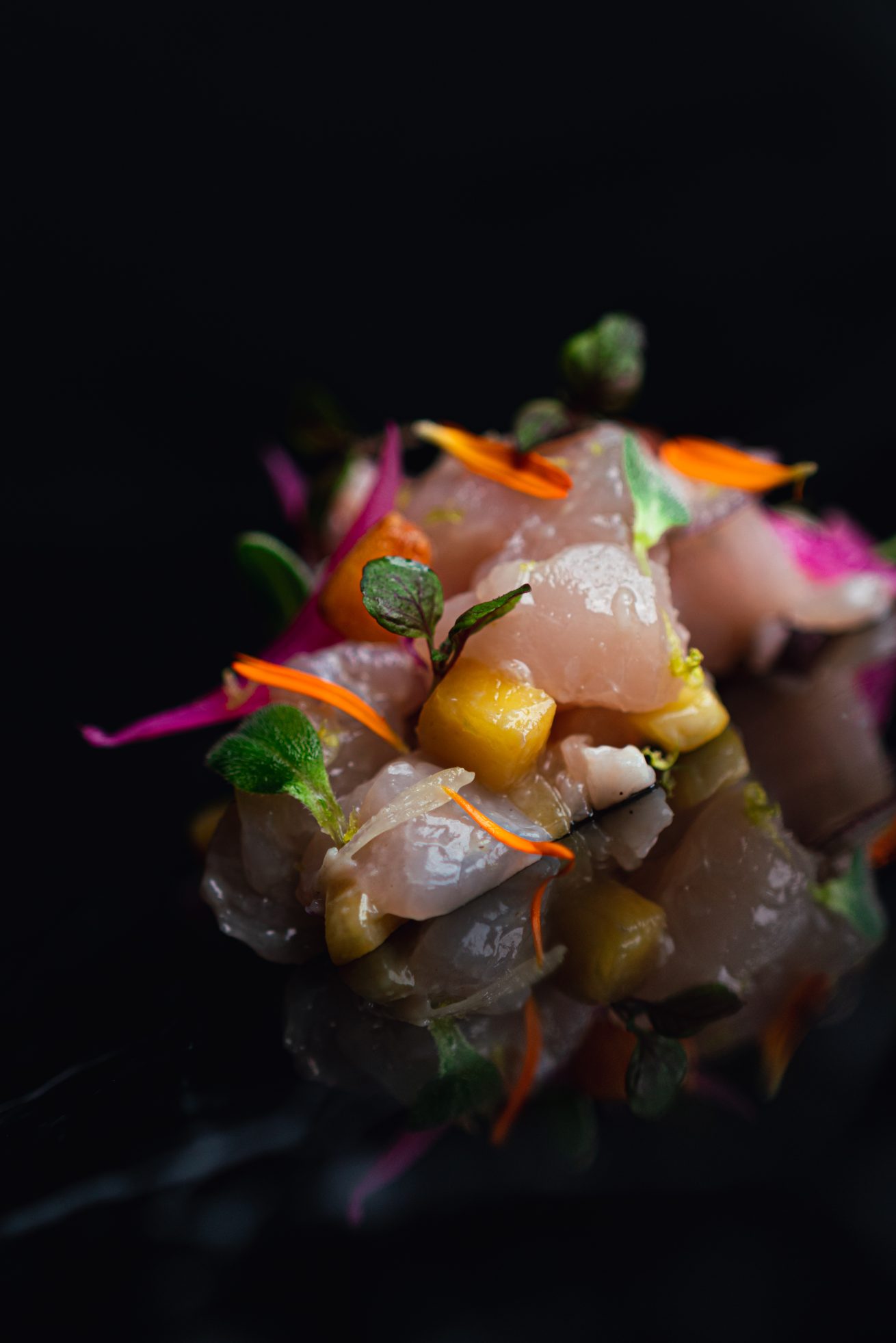 Ceviche 2