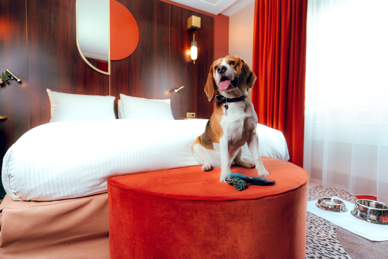 Vague 2 - Nest hotel 13
