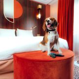 Vague 2 - Nest hotel 13