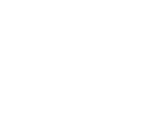 Armée de Terre